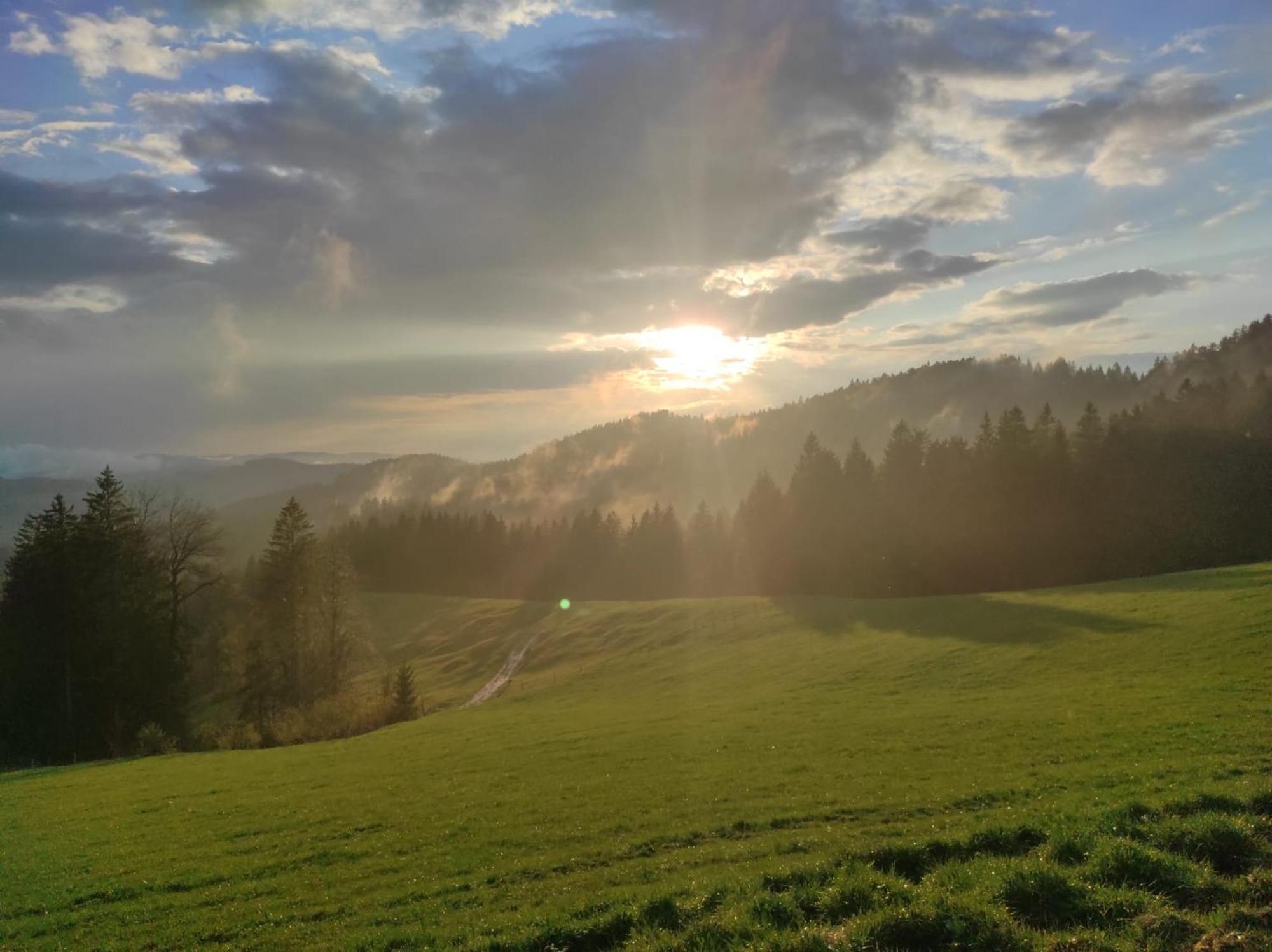 Sonnen-Juwel - Hallenbad-Sauna-2 Getrennte Schlafbereiche-Direkt An Der Skipiste Missen-Wilhams Buitenkant foto