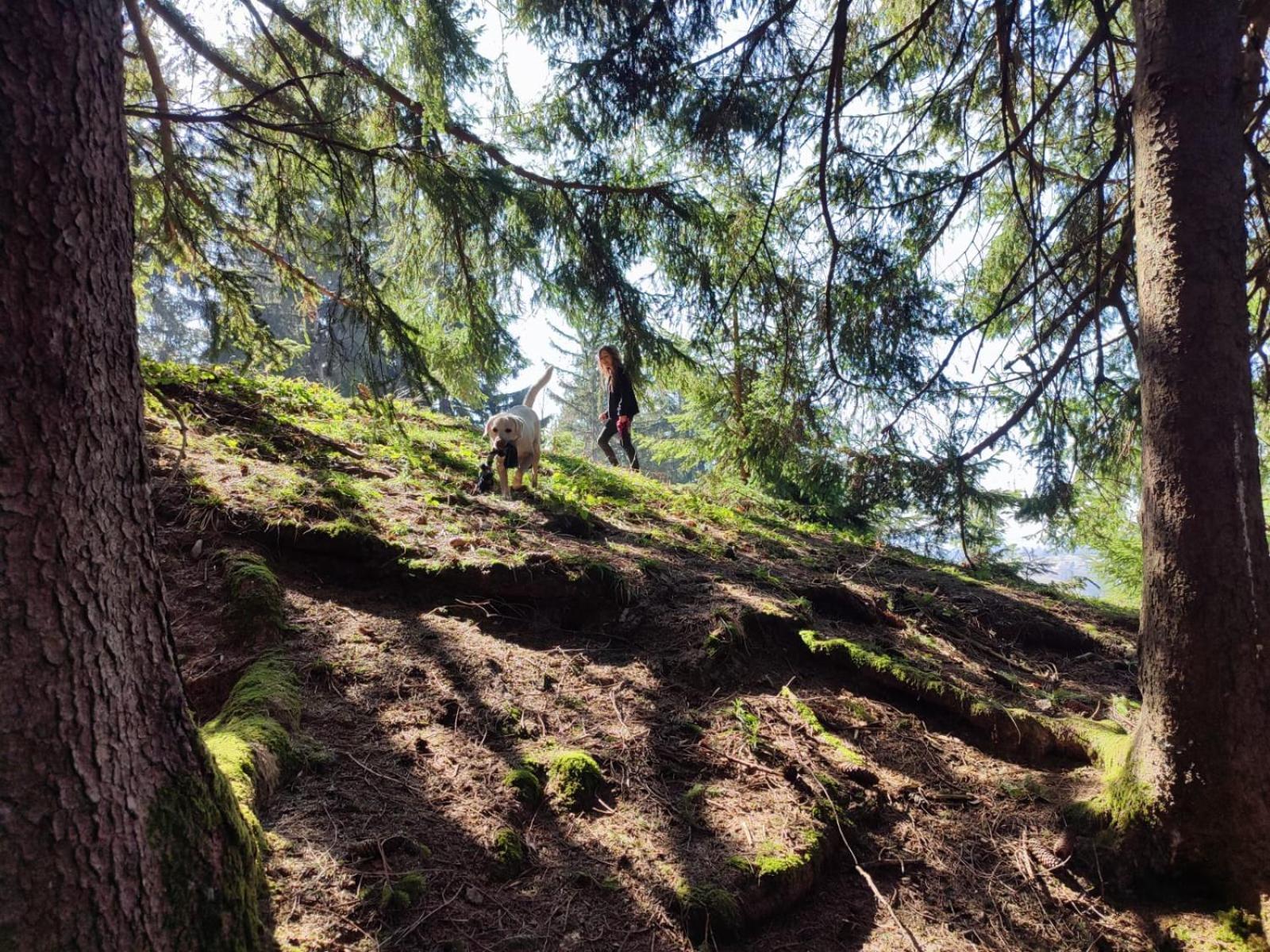 Sonnen-Juwel - Hallenbad-Sauna-2 Getrennte Schlafbereiche-Direkt An Der Skipiste Missen-Wilhams Buitenkant foto