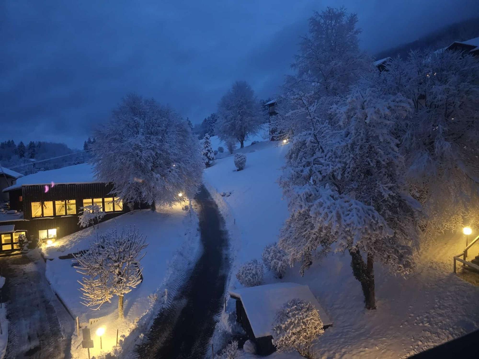 Sonnen-Juwel - Hallenbad-Sauna-2 Getrennte Schlafbereiche-Direkt An Der Skipiste Missen-Wilhams Buitenkant foto